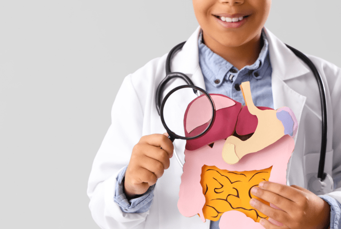 Medical professional holding cardboard cutouts representing organs and the digestive system.