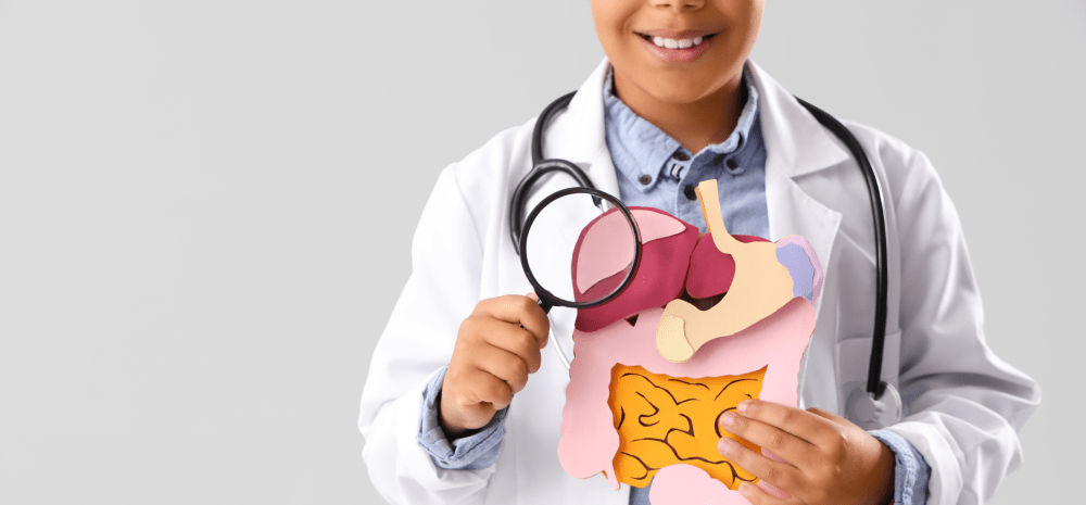 Medical professional holding cardboard cutouts representing organs and the digestive system.