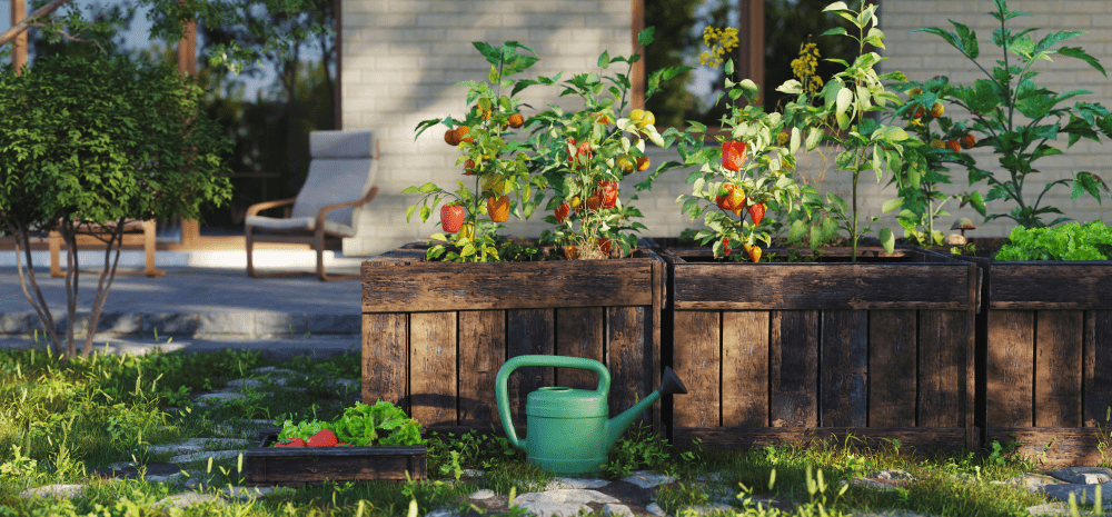 Plants within planter boxes on grass and water jug.