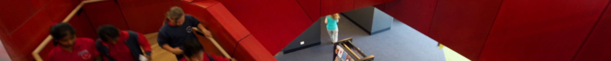Image: A group of school children exploring the library