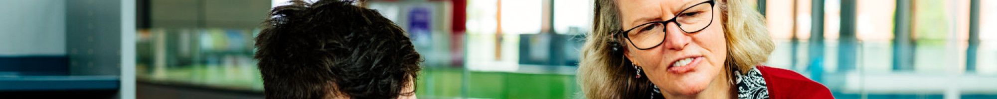 Image: A staff member assisting a person using a computer.