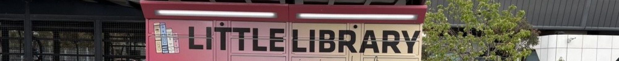 A set of brightly coloured lockers known as Little Library: Douglas Street.