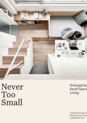 Never Too Small by Joel Beath, Elizabeth Price and Colin Chee