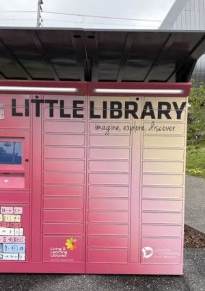 A set of brightly coloured lockers known as Little Library: Douglas Street.